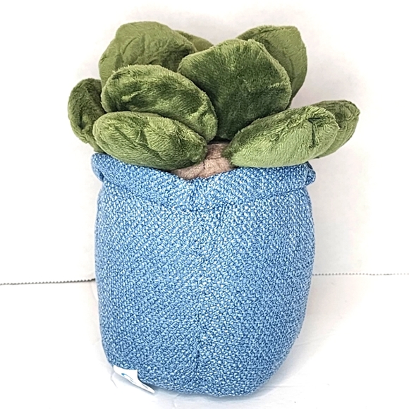 SMILEY 🪴 Adorable Succulents in Smiley Face Planter - Your Choice of One - Picture 6 of 6